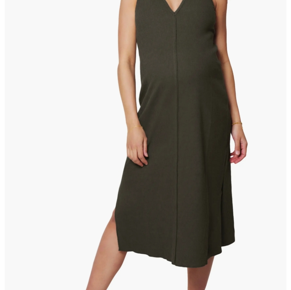 Ingrid and Isabel Everywhere Column Maternity dress